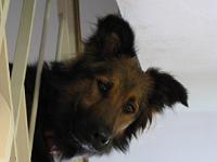 2010_06_03 bella 002